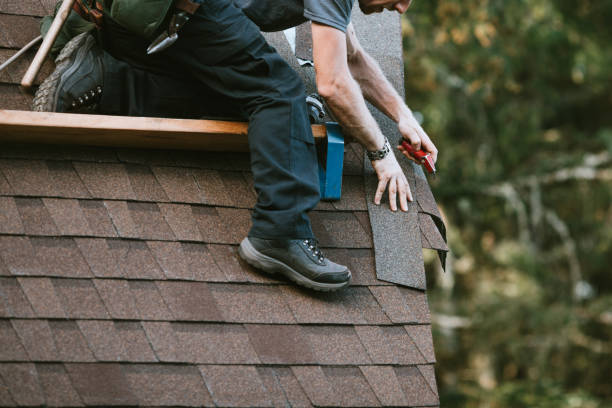 Best Storm Damage Roof Repair  in Calumet City, IL
