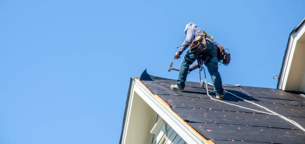 Best Storm Damage Roof Repair  in Calumet City, IL